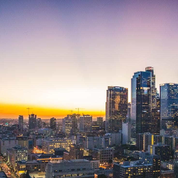 Family routine and school logistics in Springfield